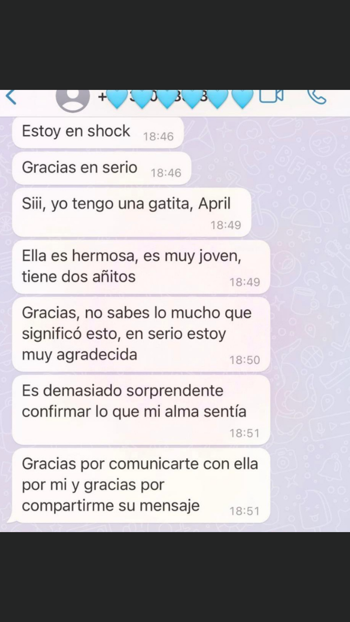 Mensaje de una clienta agradecida por la sesión con su gatita April